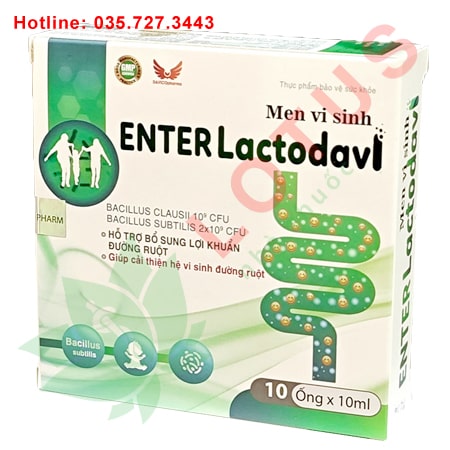 Men vi sinh Enter Lactodavi hỗ trợ cân bằng hệ vi sinh đường ruột